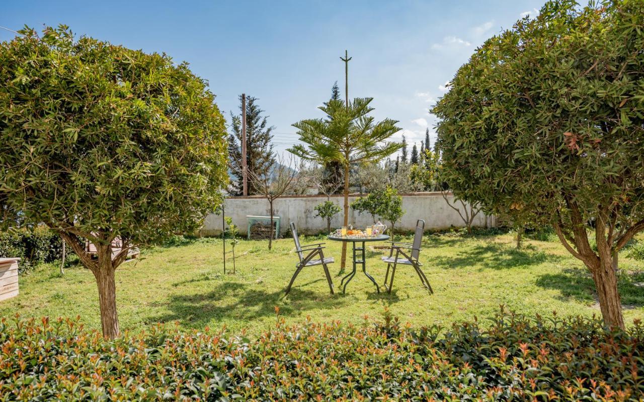 Eleni'S Cozy Apartment In Tsilivi Gaitani Luaran gambar